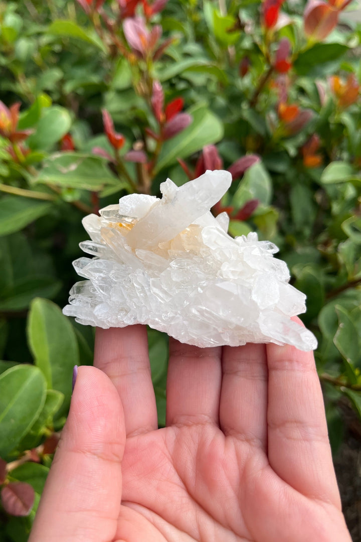 Himalayan Samadhi Quartz Cluster #7