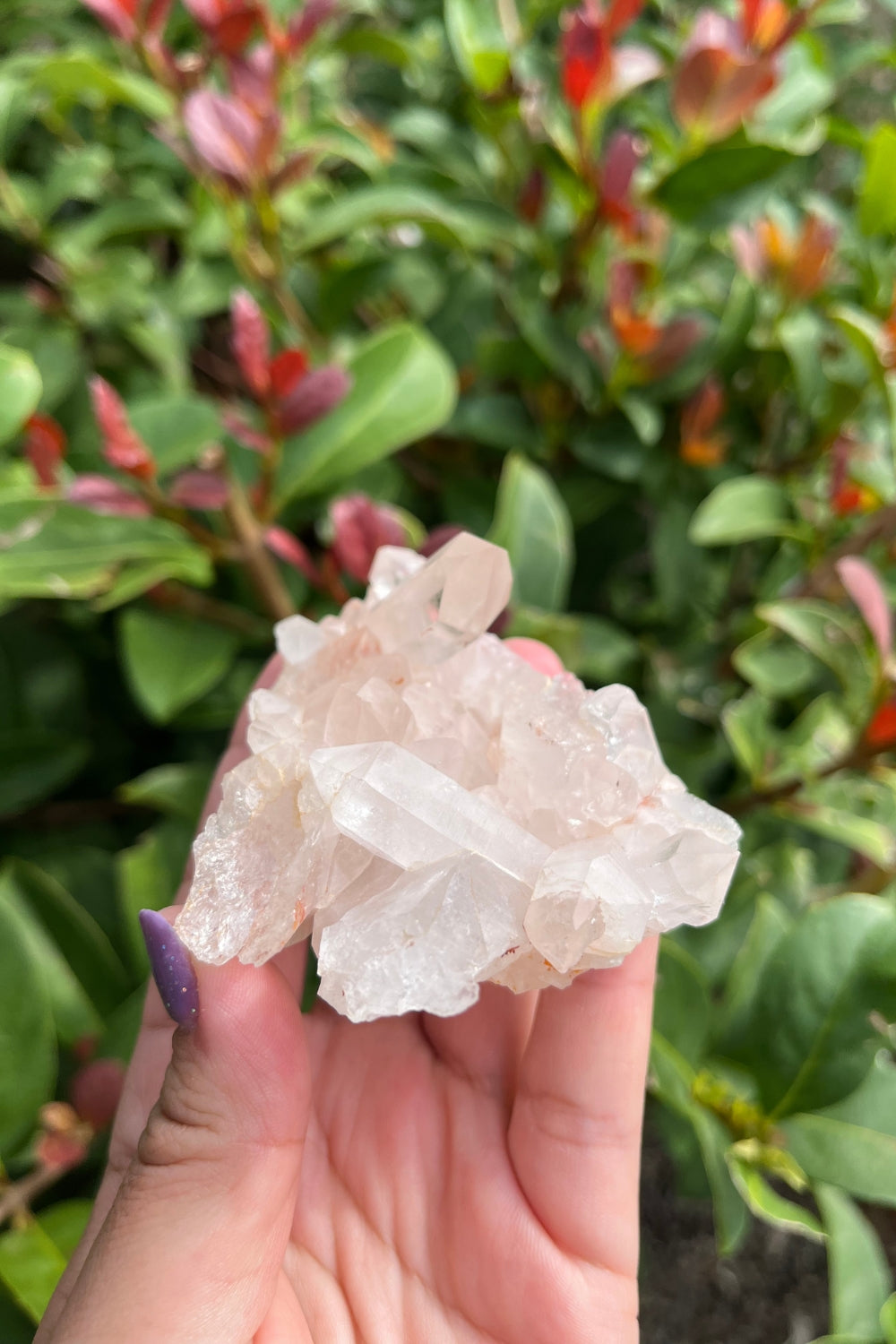 Himalayan Pink Samadhi Quartz Cluster #8