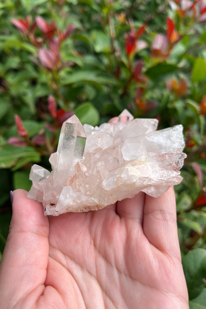 Himalayan Pink Samadhi Quartz Cluster #8