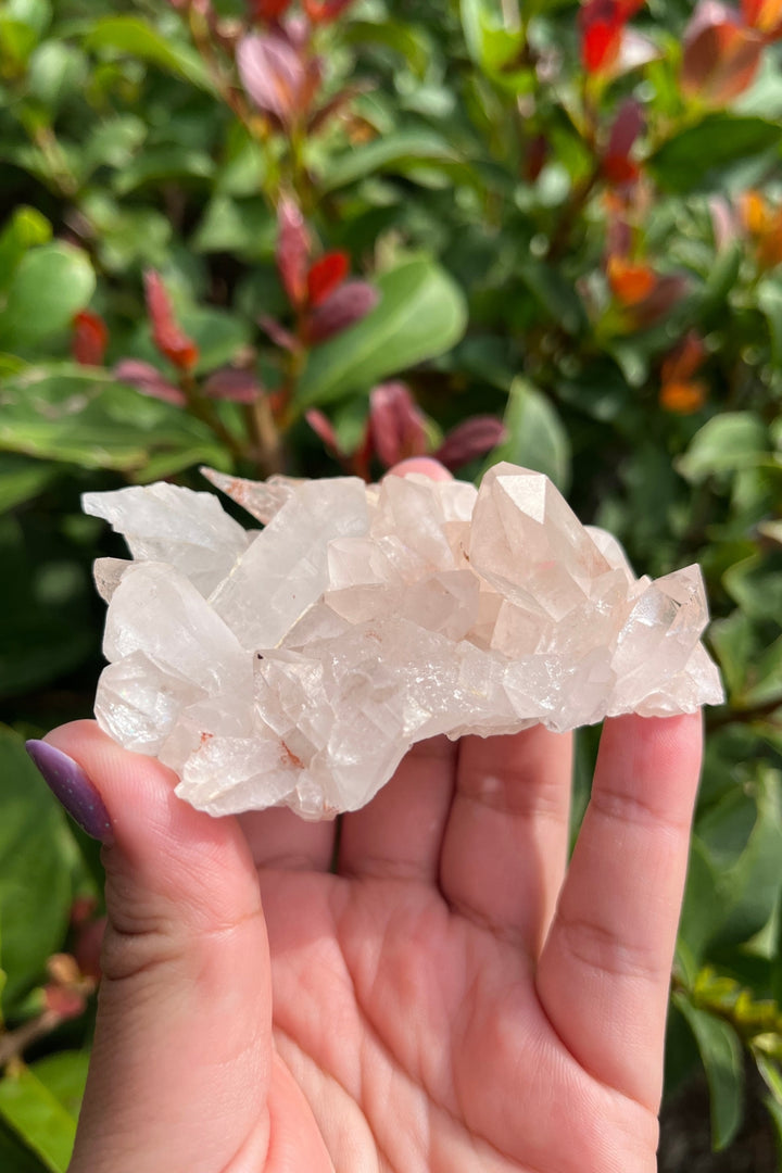 Himalayan Pink Samadhi Quartz Cluster #8