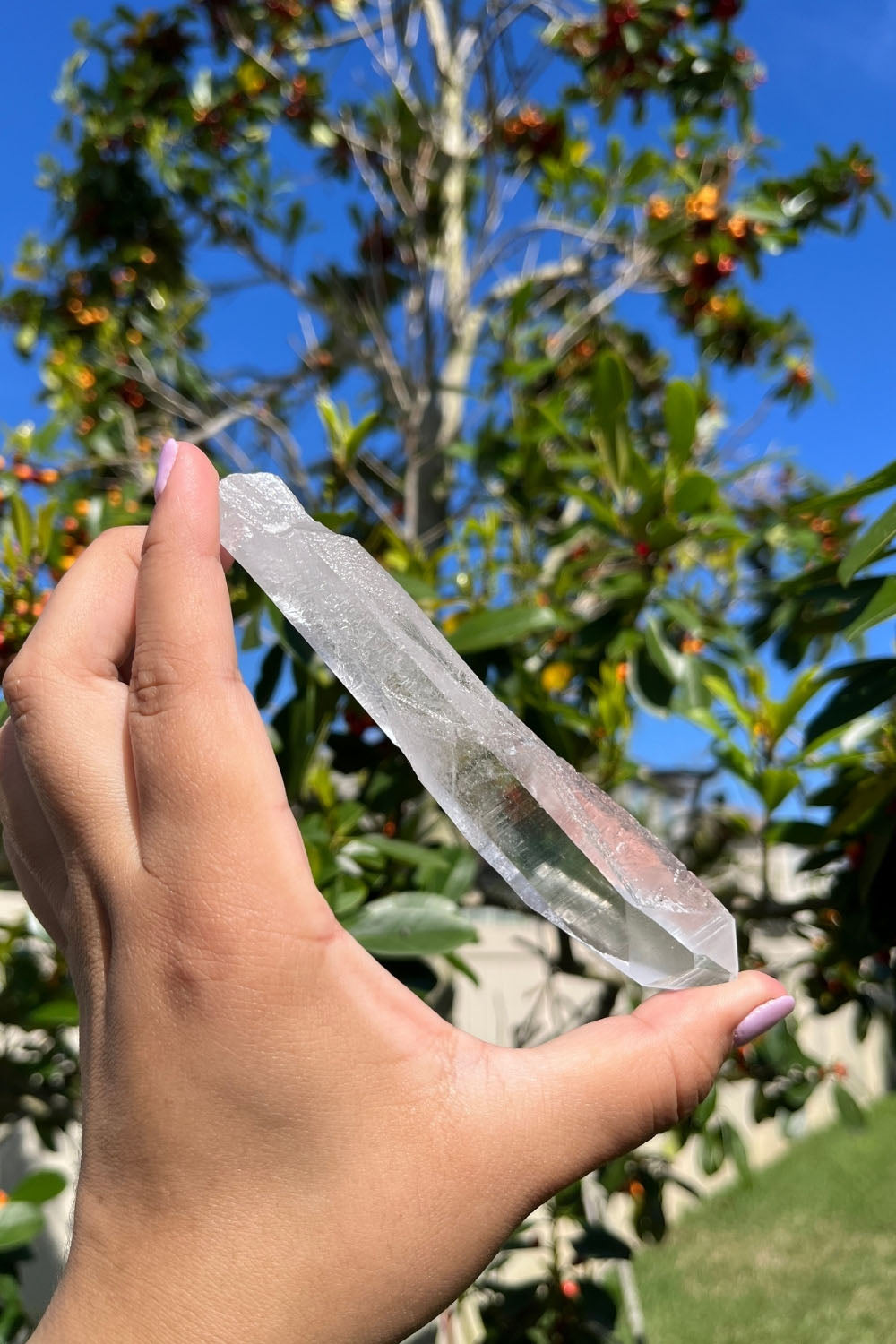 Natural Lemurian Seed Quartz Crystal Point #1