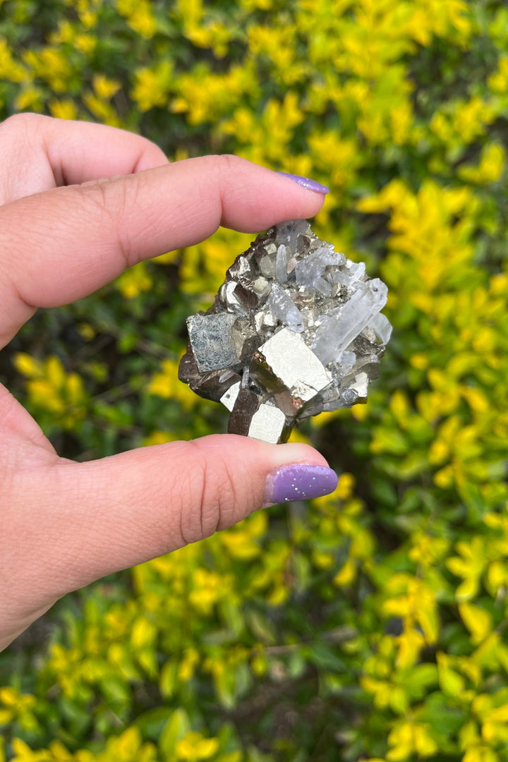 Pyrite and Quartz Crystal Cluster in Matrix #1