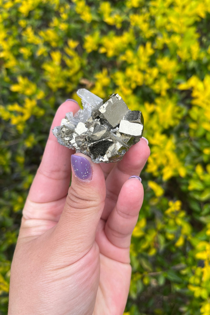 Pyrite and Quartz Crystal Cluster in Matrix #1