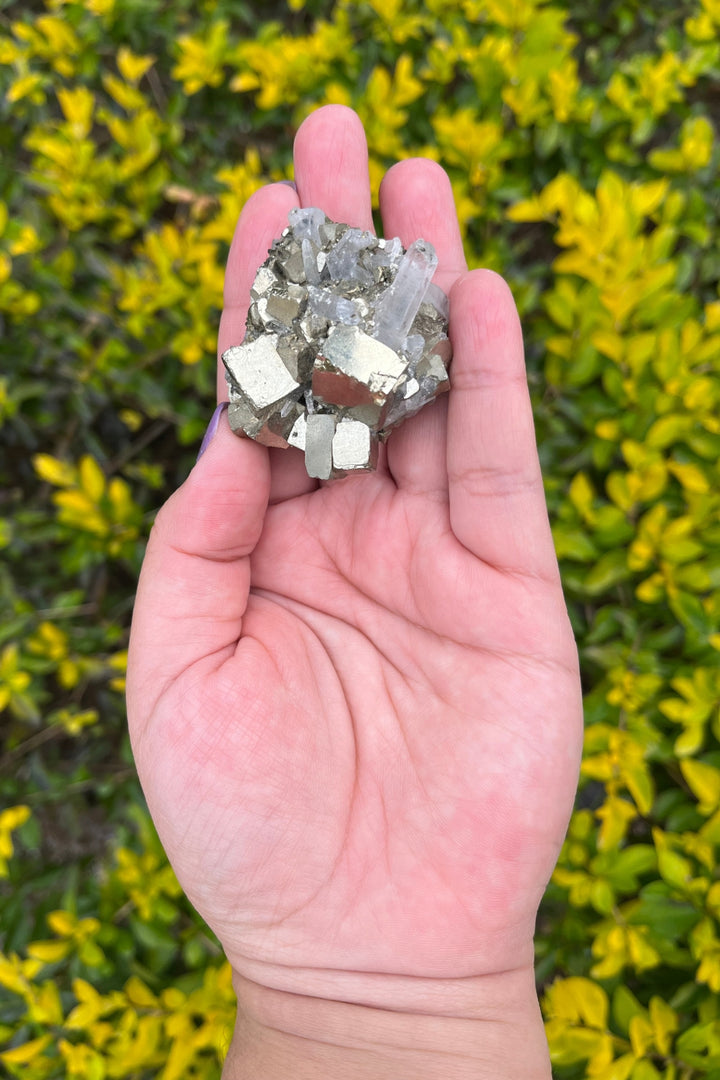 Pyrite and Quartz Crystal Cluster in Matrix #1