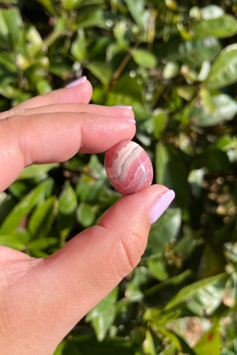 Rhodochrosite Cabochon