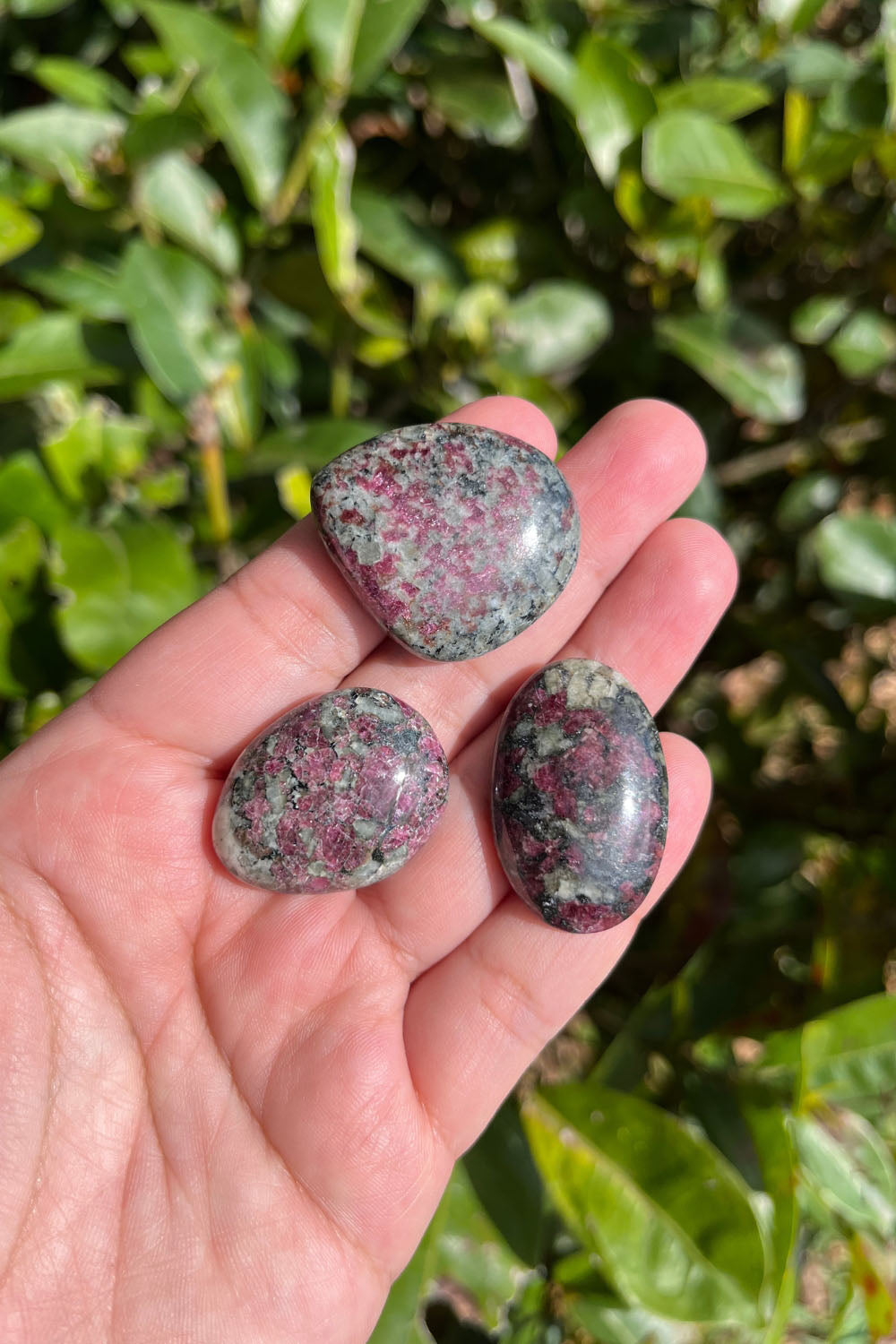 Ruby Zoisite Cabochon