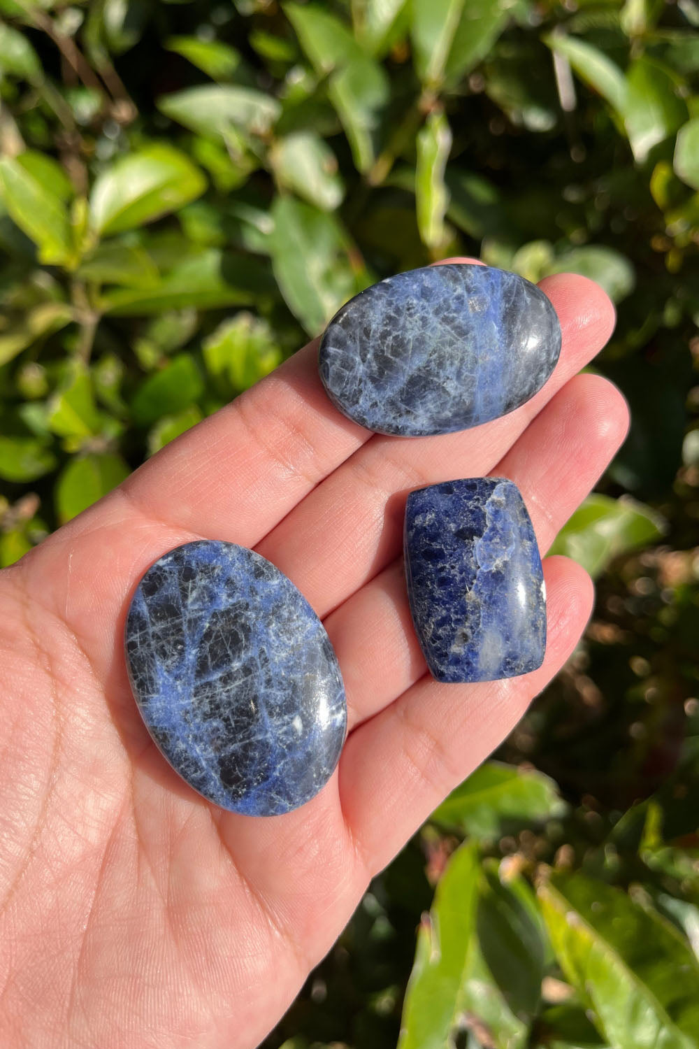 Sodalite - Cabochon Sodalite - Cabochon