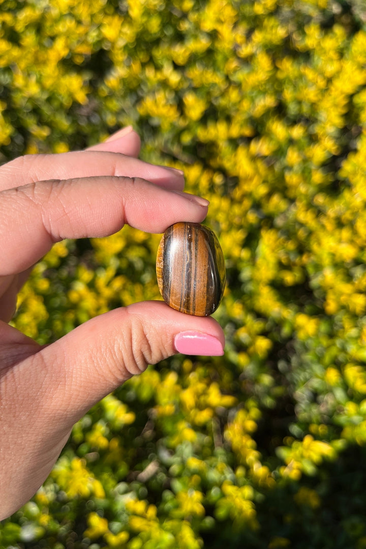 Tiger Eye Tumbles