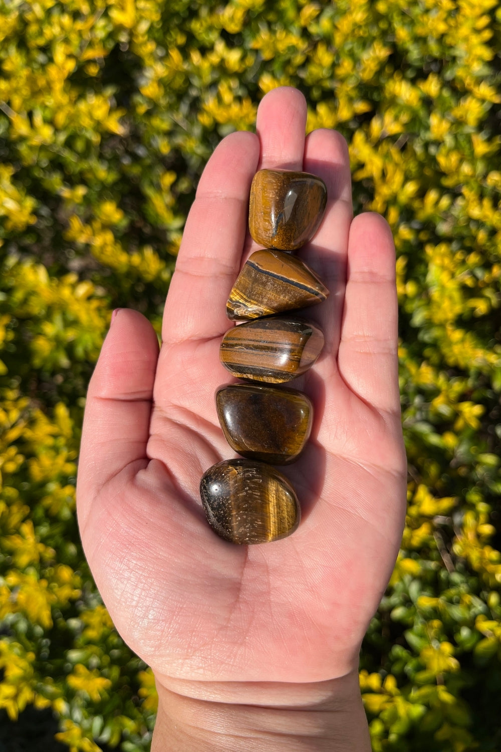 Tiger Eye Tumbles