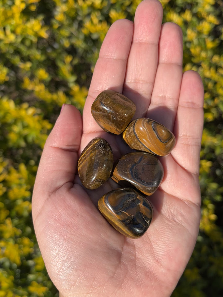 Tiger Eye Tumbles