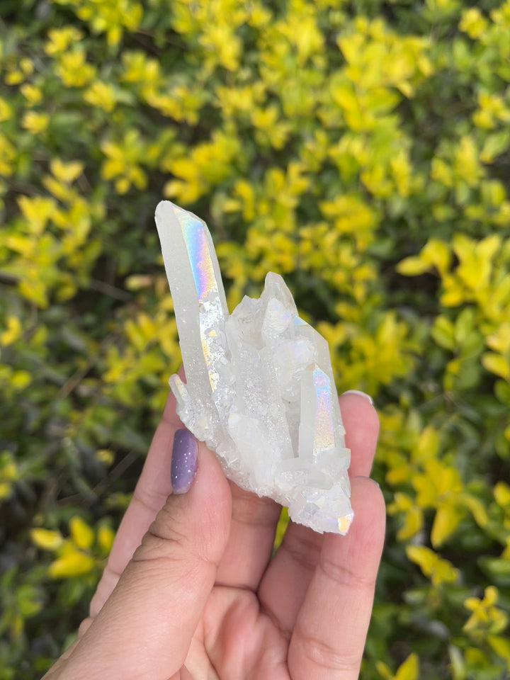 Himalayan Samadhi Quartz Cluster #4