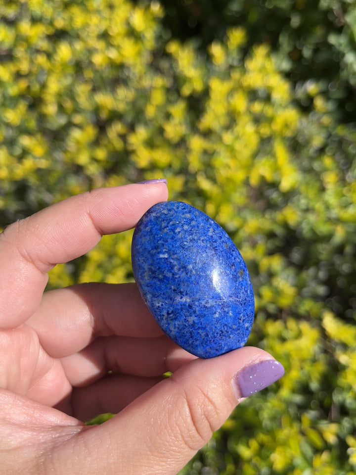 Lapis Lazuli Palm Stone #2 Rare Find