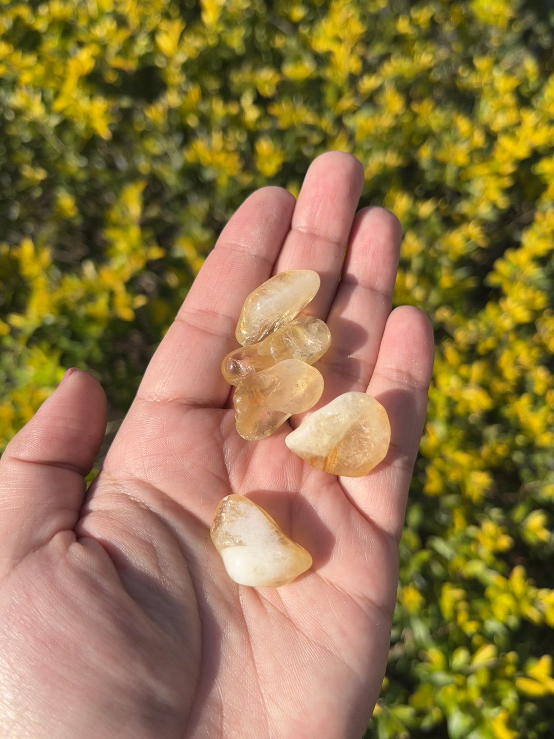 Citrine Tumbles