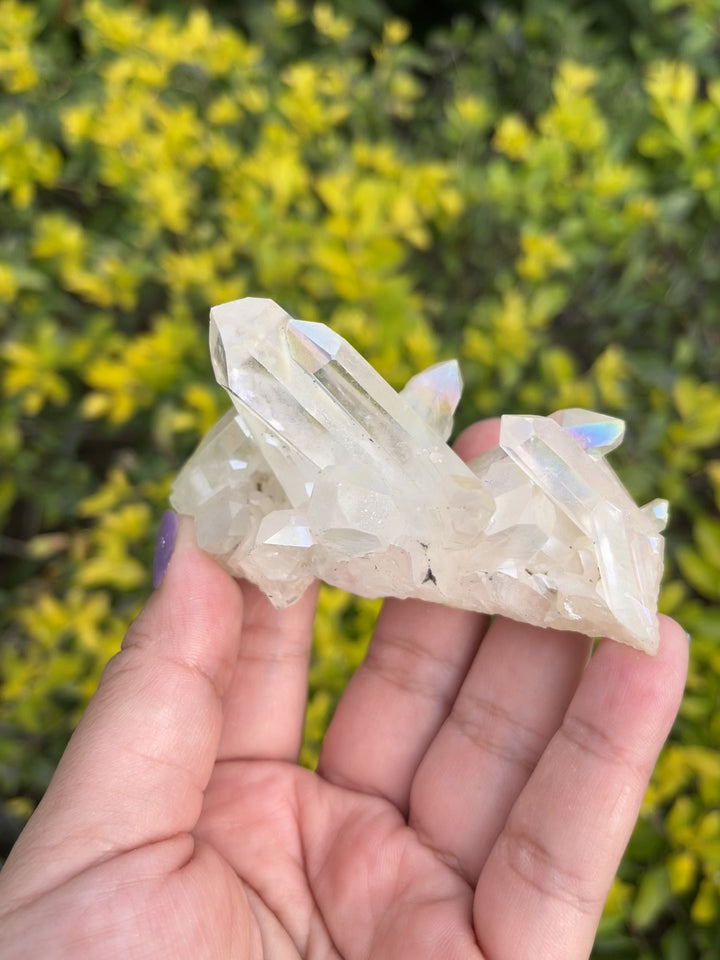 Himalayan Samadhi Quartz Cluster #5