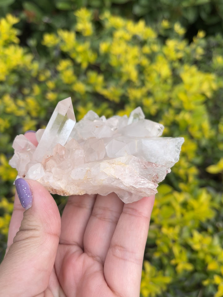 Himalayan Pink Samadhi Quartz Cluster #8