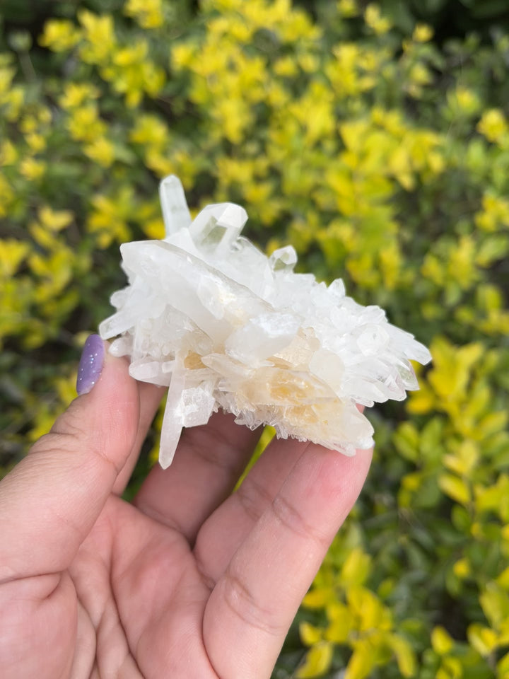 Himalayan Samadhi Quartz Cluster #7