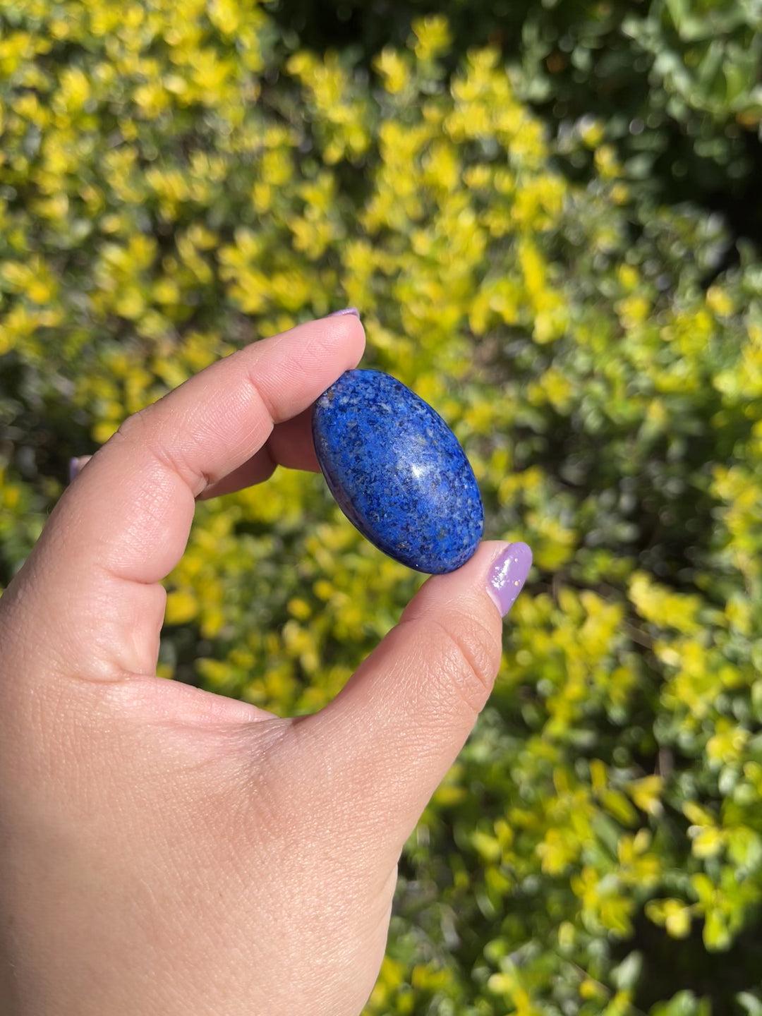 Lapis Lazuli Palm Stone #1 - Rare Find
