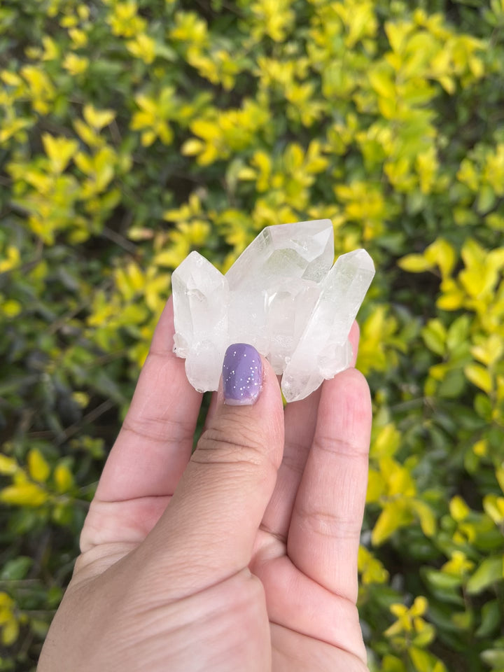 Himalayan Samadhi Quartz Cluster #2