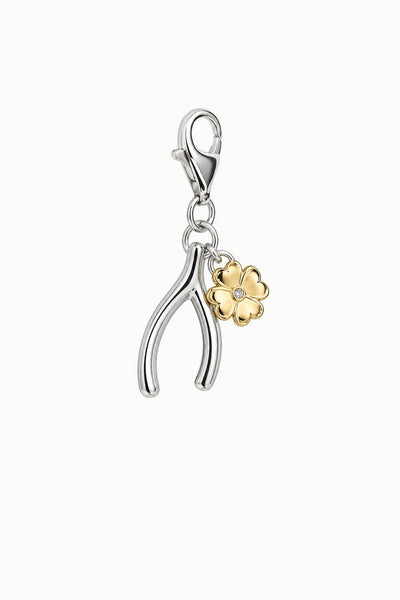 Wishbone and Clover Charm