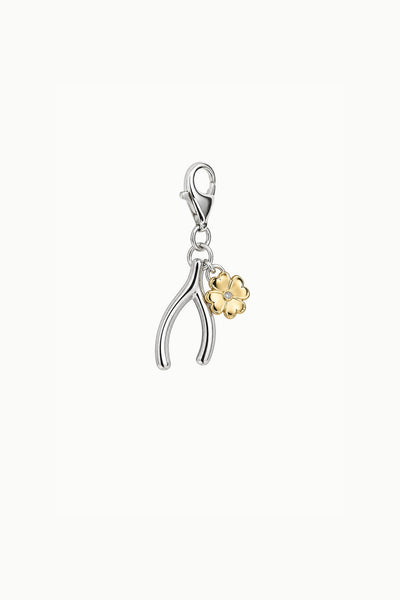 Wishbone and Clover Charm